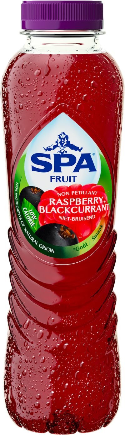 Fruit Still Raspberry Blackcurrant Mineraalwater Koolzuurvrij 40 cl