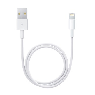 APPLE VMI Lightning to USB Cable 0.5m, iPod touch 5. Gen iPod nano 7. Generation