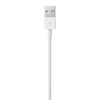 APPLE VMI Lightning to USB Cable 0.5m, iPod touch 5. Gen iPod nano 7. Generation