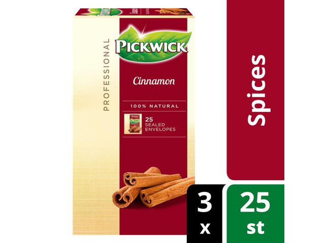 Professional Cinnamon, Theezakjes, 40 g