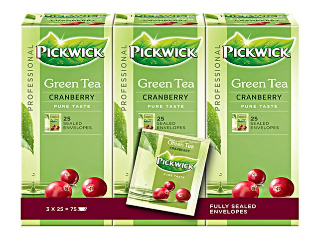 Professional Green Tea Cranberry, Theezakjes, 38 g