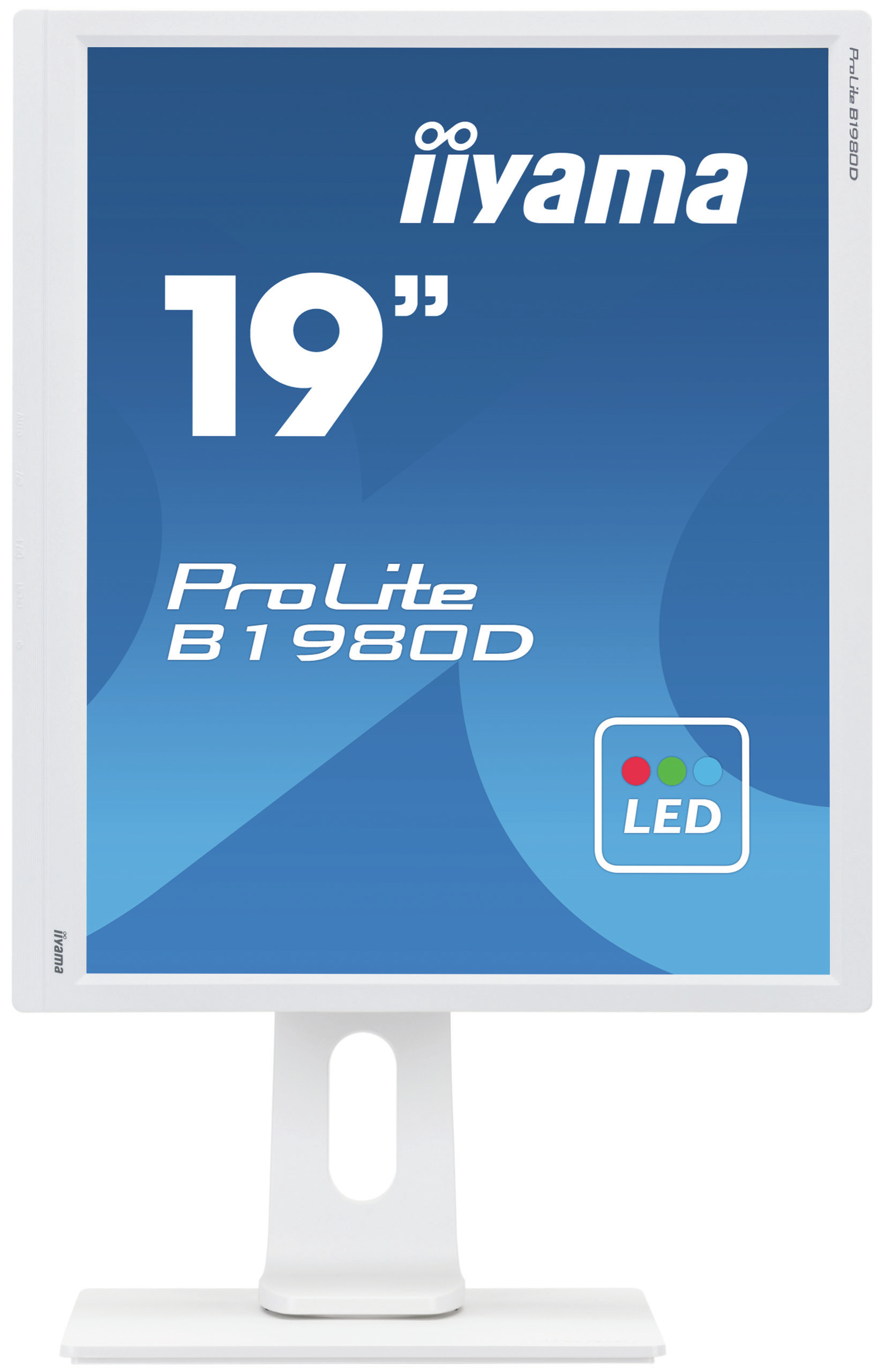 19i WHITE TN-panel  1280x1024  13cm Height Adj. Stand  Pivot  VGA  DVI  250cd/m 5ms