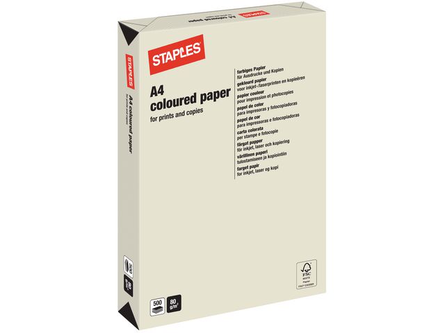 Gekleurd Papier A4 80 g/m² Parelgrijs