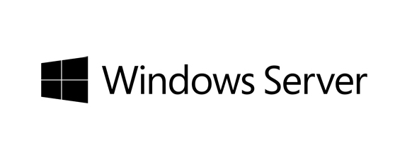 Windows Server 2019 RDS CAL Client Access License (CAL) 100 licentie(s)