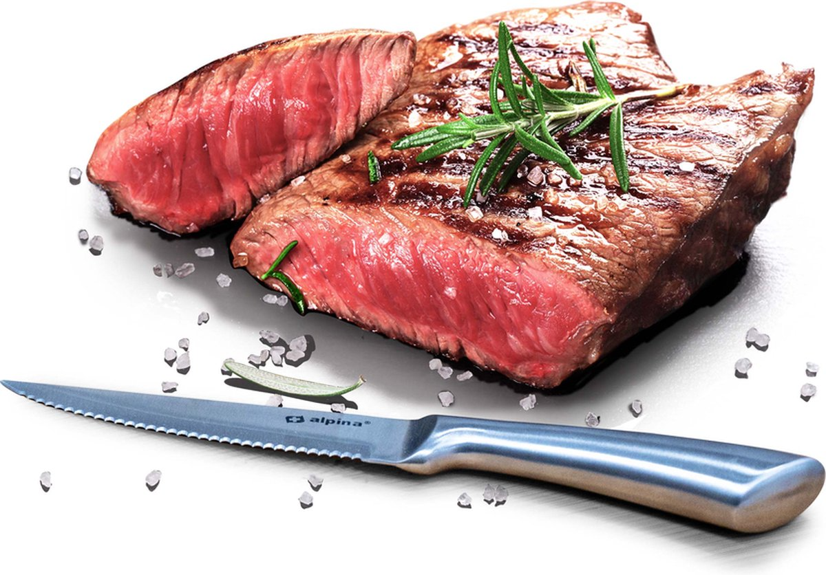 Steakmessen Set RVS in Bewaardoos 22,5 cm