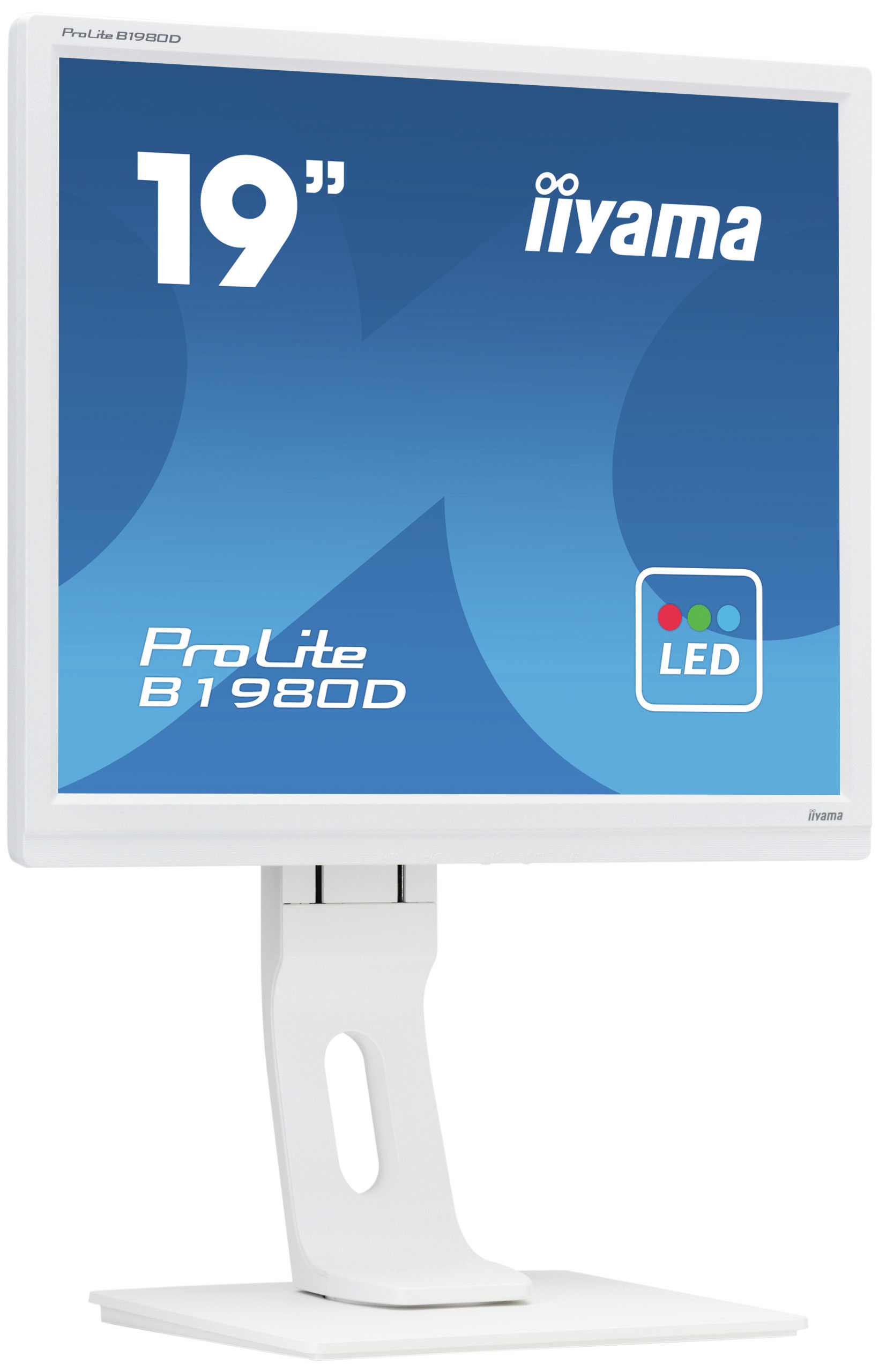 19i WHITE TN-panel  1280x1024  13cm Height Adj. Stand  Pivot  VGA  DVI  250cd/m 5ms