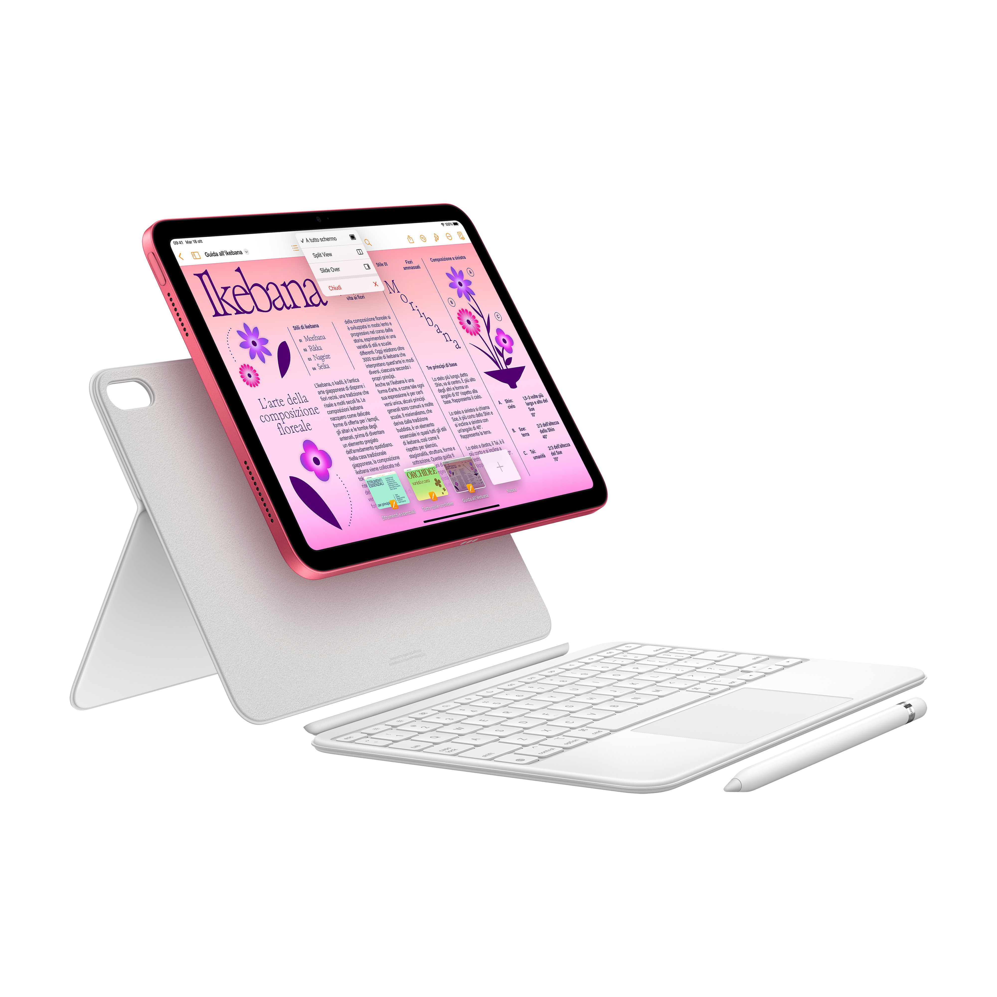 APPLE 10.9inch iPad 10th Generation (2022) WiFi + Cellular 64GB Pink